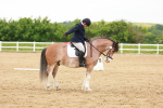 SBM_005997
