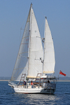 180506 CORA JEAN 1Y3A9510