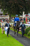 270724-Race 1-Alflaila-9484
