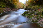 River North Esk at Grannochy, Autumn Colour 7