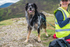 Barrow Fell-537