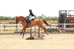 SBM_003989