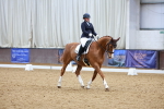 SBM_002382