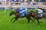 080925-Race 5-Elmonjed-7717
