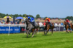 230626-Race 2-Tattie Bogle-0361