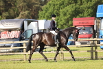 SBM_12281