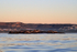 Seal Island dawn, Mossel Bay, South Africa
