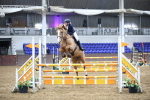 Class 3 - Senior Newcomers/ 1.10m Open portfolio