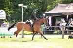 SBM_18335