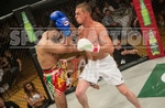 FULL BOAR CAGE FIGHTING 2013 portfolio