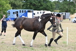 WJ6_5860