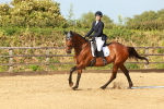 SBM_000261