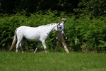 WJ7_1510