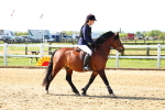 SBM_006633