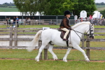 SBM_08480