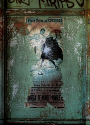 the bullfighter