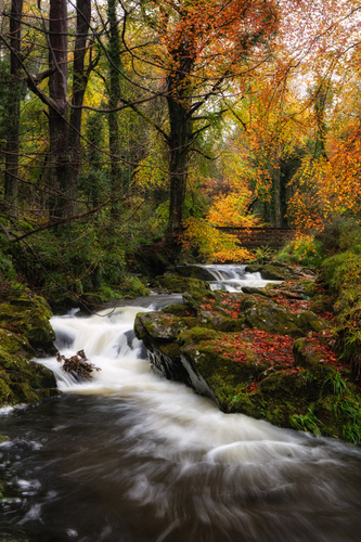 Ballaglass Glen. Always hard to resist a hot here especially in 2025 where the decent summer weather has resulted in…