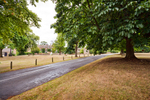 Kingham 14