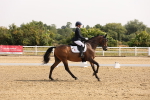 SBM_005371