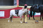 SBM_07710