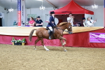SBM_23533