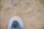 SBM_002973