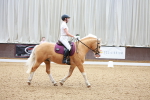 SBM_008331