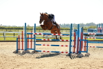 SBM_002042