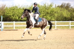 SBM_003351