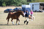 WJ6_4570