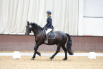 SBM_007608