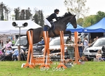 BPP_0563