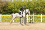 SBM_004400