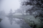 Morning mist 2