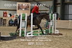 BPP_5311
