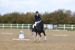 SBM_002295