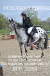 CLASS 13 SUN 0.85m Amateur Championship Qualifier portfolio