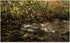 Autumn Colour, Glantrasna river, near Lauraugh, Co Kerry
