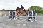 BPP_6347