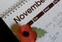 Tuesday 11th Nov 2008