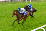 170623-Race 3-Quickthorn-7054