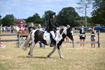 WJ6_5367