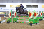 1I0A5447_Class 10 - Senior Foxhunter - 120m