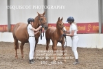 JAC_6455