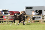 SBM_00784