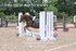 BPP_8195