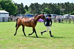 SBM_03869