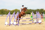 SBM_003441