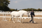SBM_07039
