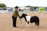 SBM_16624